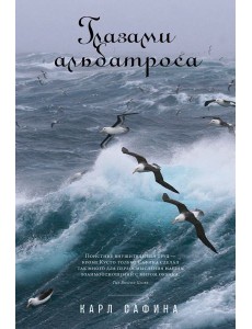 Глазами альбатроса