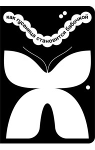 Как гусеница становится бабочкой