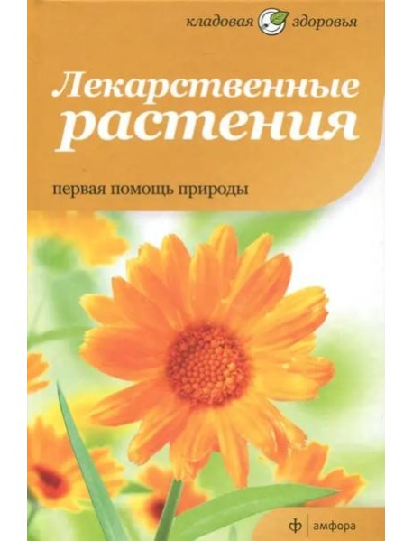 Лекарственные растения. Первая помощь природы