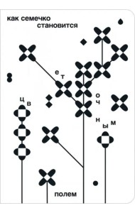 Как семечко становится цветочным полем