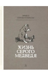 Жизнь серого медведя