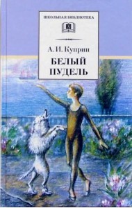 Белый пудель