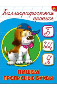 КАЛЛИГРАФИЧЕСКАЯ ПРОПИСЬ А5. ПИШЕМ ПРОПИСНЫЕ БУКВЫ