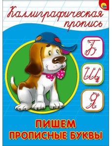 КАЛЛИГРАФИЧЕСКАЯ ПРОПИСЬ А5. ПИШЕМ ПРОПИСНЫЕ БУКВЫ КАЛЛИГРАФИЧЕСКАЯ ПРОПИСЬ А5. ПИШЕМ ПРОПИСНЫЕ БУКВЫ