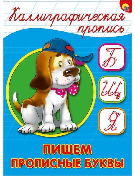 КАЛЛИГРАФИЧЕСКАЯ ПРОПИСЬ А5. ПИШЕМ ПРОПИСНЫЕ БУКВЫ