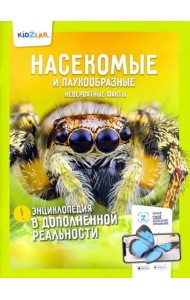 Насекомые и паукообразные. Невероятные факты