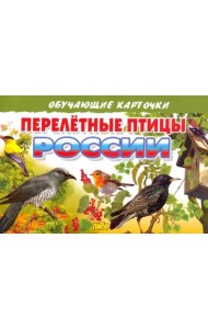 Перелетные птицы России