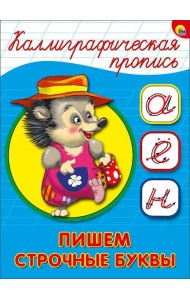 КАЛЛИГРАФИЧЕСКАЯ ПРОПИСЬ А5. ПИШЕМ СТРОЧНЫЕ БУКВЫ