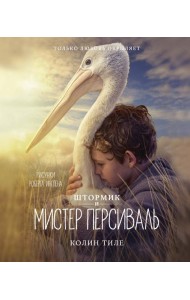 Штормик и мистер Персиваль