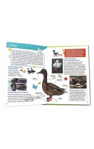 ЭНЦИКЛОПЕДИЯ ДЛЯ МАЛЕНЬКИХ ПОЧЕМУЧЕК. Животные фермы