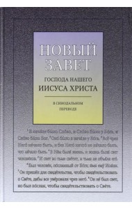 Новый Завет Господа нашего Иисуса Христа в Синодальном переводе, с ударениями
