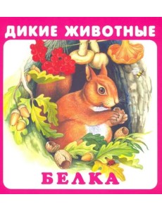 Набор карточек "Дикие животные" Набор карточек "Дикие животные"