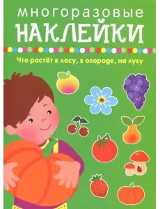 Что растет в лесу, в огороде, на лугу