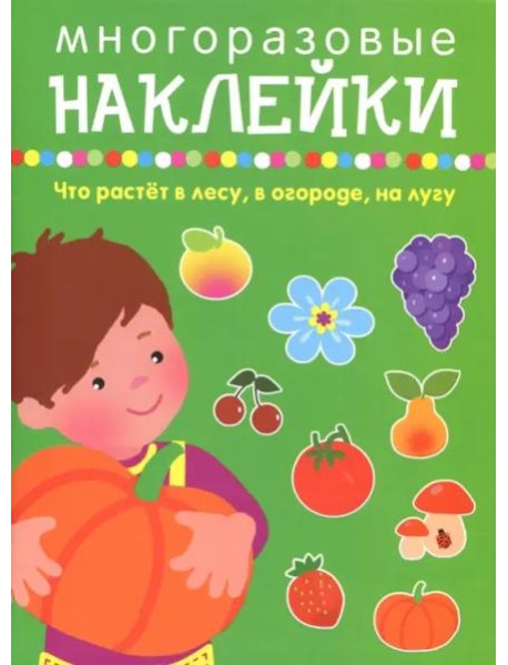 Что растет в лесу, в огороде, на лугу