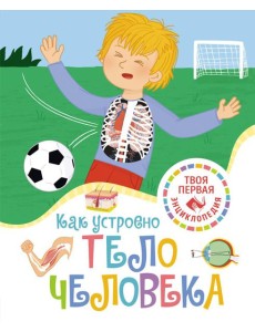 Как устроено тело человека
