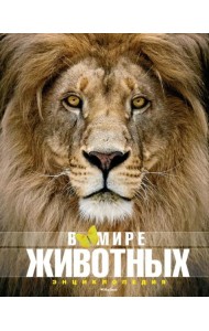 В мире животных