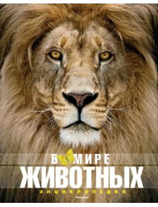 В мире животных В мире животных