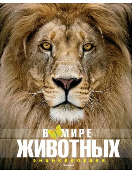 В мире животных