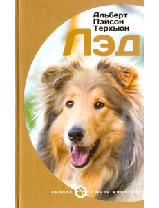 Лэд Лэд