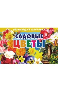 Обучающие карточки. Садовые цветы