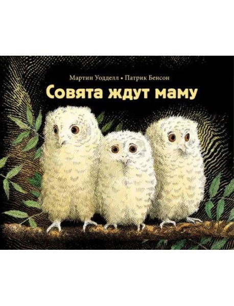 Совята ждут маму