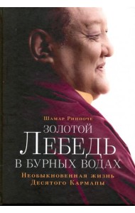 Золотой лебедь в бурных водах. Необыкновенная жизнь Десятого Кармапы