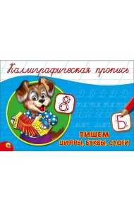 КАЛЛИГРАФИЧЕСКАЯ ПРОПИСЬ А5. альбомная. ПИШЕМ ЦИФРЫ, БУКВЫ, СЛОГИ