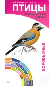 Птицы Черноморского Кавказа. Воробьиные и неворобьиные. Веер-определитель