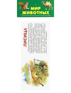 Набор карточек. Мир животных Набор карточек. Мир животных
