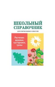 Растения: деревья, кустарники, травы
