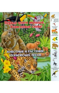 Животные и растения тропических лесов. Виммельбух