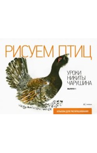 Рисуем птиц. Уроки Никиты Чарушина