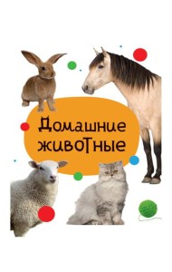 ЦК МИНИ. ДОМАШНИЕ ЖИВОТНЫЕ