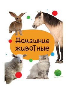 ЦК МИНИ. ДОМАШНИЕ ЖИВОТНЫЕ ЦК МИНИ. ДОМАШНИЕ ЖИВОТНЫЕ