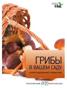 Грибы в вашем саду