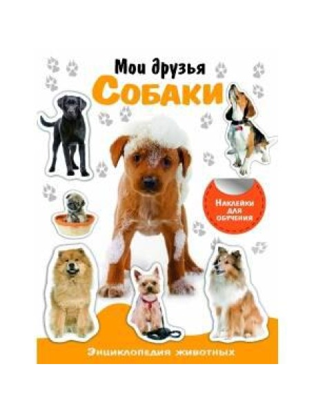 НАКЛЕЙКИ С ЗАДАНИЯМИ. Детеныши животных