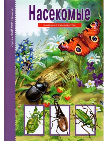 Насекомые