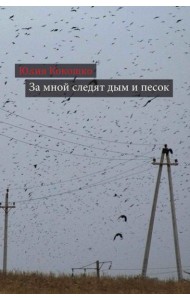 За мной следят дым и песок