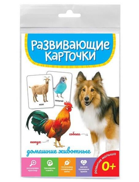 РАЗВИВАЮЩИЕ КАРТОЧКИ. ДОМАШНИЕ ЖИВОТНЫЕ