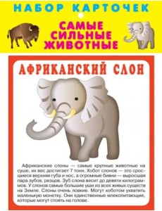 Набор карточек. Самые сильные животные Набор карточек. Самые сильные животные