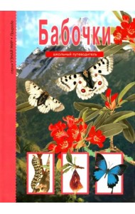 Бабочки