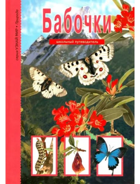 Бабочки