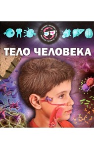 Тело человека
