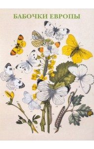 Набор открыток. Бабочки Европы