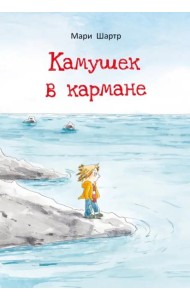 Камушек в кармане