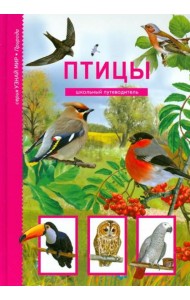 Птицы. Школьный путеводитель