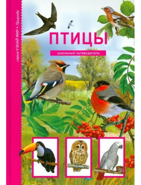 Птицы. Школьный путеводитель
