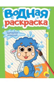 ВОДНАЯ РАСКРАСКА А5. ДОМАШНИЕ ЖИВОТНЫЕ (новая)