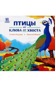 Птицы и букашки: от носа до хвоста