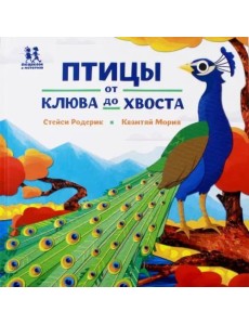 Птицы и букашки: от носа до хвоста